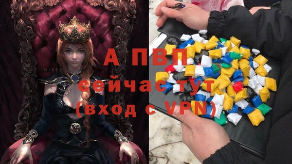 спиды Нефтекумск